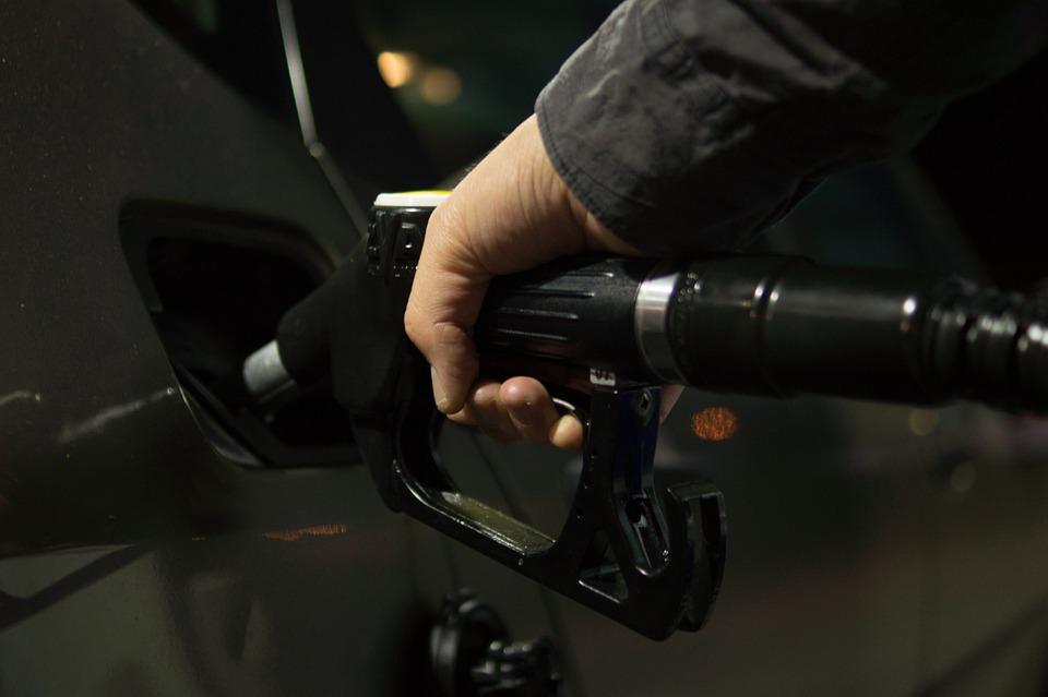 Se dau bani frumoşi de la stat pentru aceşti români! Ce trebuie să facă pentru a intra în posesia lor