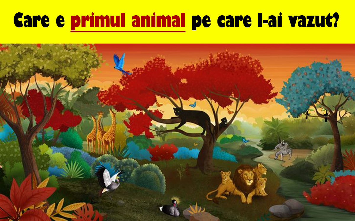 Test psihologic | Care e primul animal pe care l-ai văzut? Răspunsul îți va spune cea mai mare problemă pe care o ai