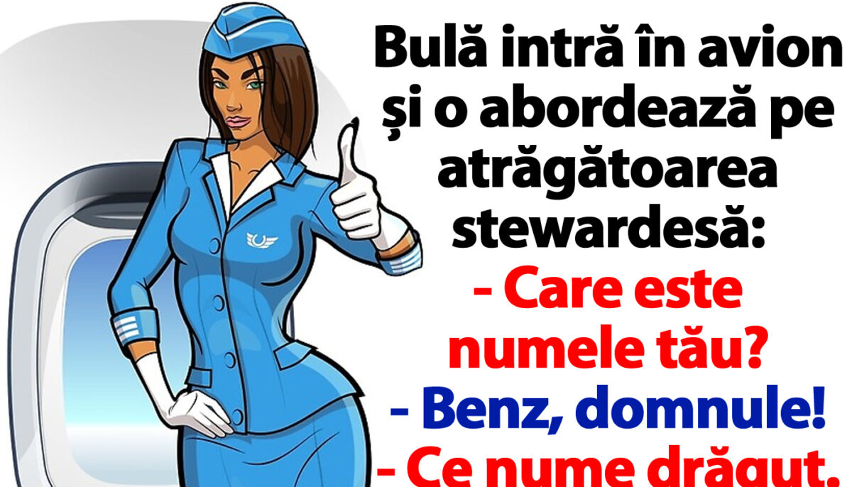Imagine Stire BANC | Bulă intră în avion și o abordează pe atrăgătoarea stewardesă: „Care e numele tău?” | 2review.ro