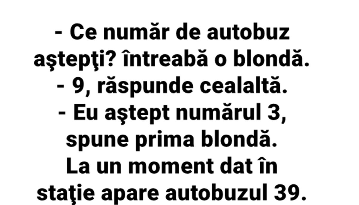 Imagine Stire Banc cu blonde | „Ce număr de autobuz aștepți?” | 2review.ro