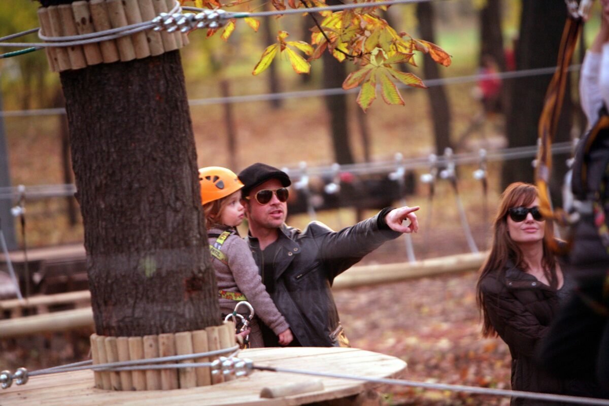 Desfaci. Folosești. Arunci unde & cum trebuie. Brad Pitt, exemplu de implicare în cauze de mediu