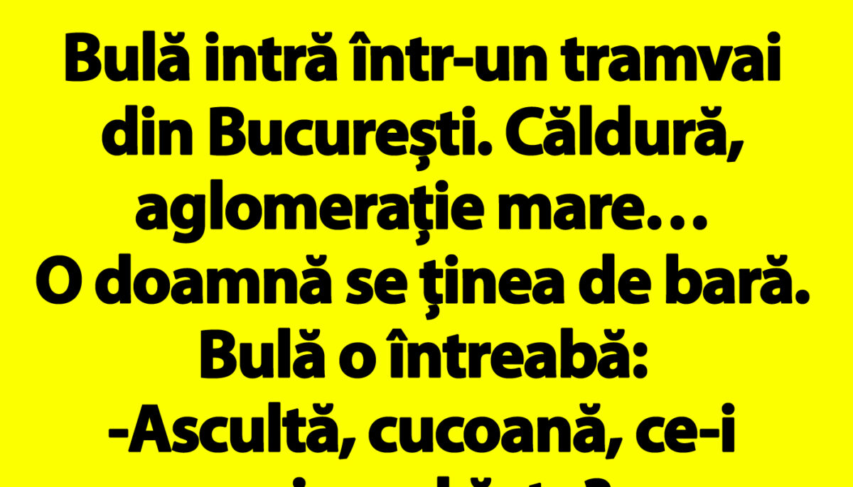 Imagine Stire BANCUL ZILEI | Bulă intră într-un tramvai din București | 2review.ro