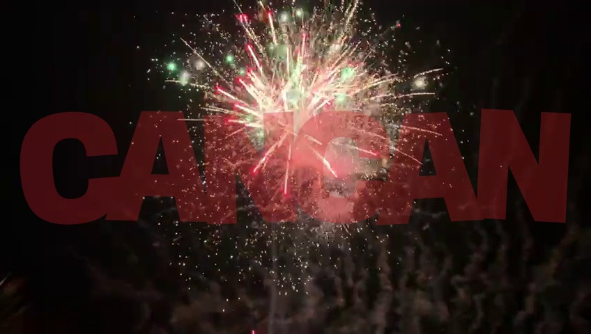 Invitații lui Salam au fost surprinși de spectacolul de artificii de pe cer