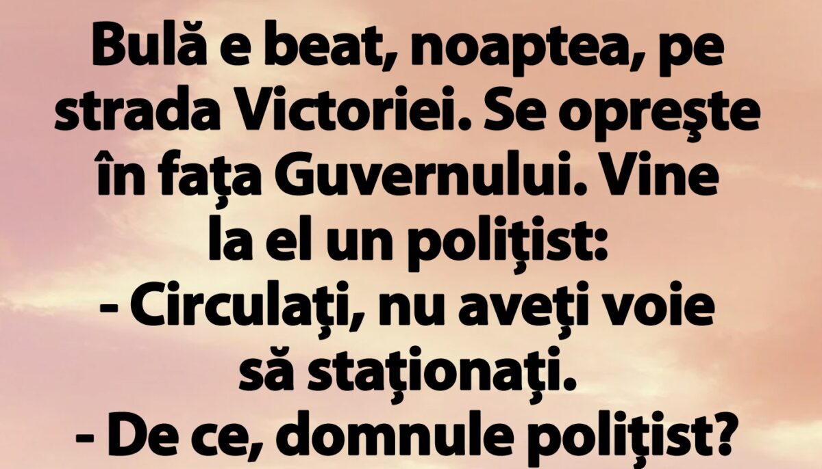 Imagine Stire BANC | Bulă e beat, noaptea, pe strada Victoriei. Se opreşte în faţa Guvernului | 2review.ro