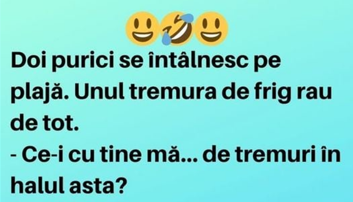 Imagine Stire Bancul zilei. Doi purici se întâlnesc pe plajă | 2review.ro