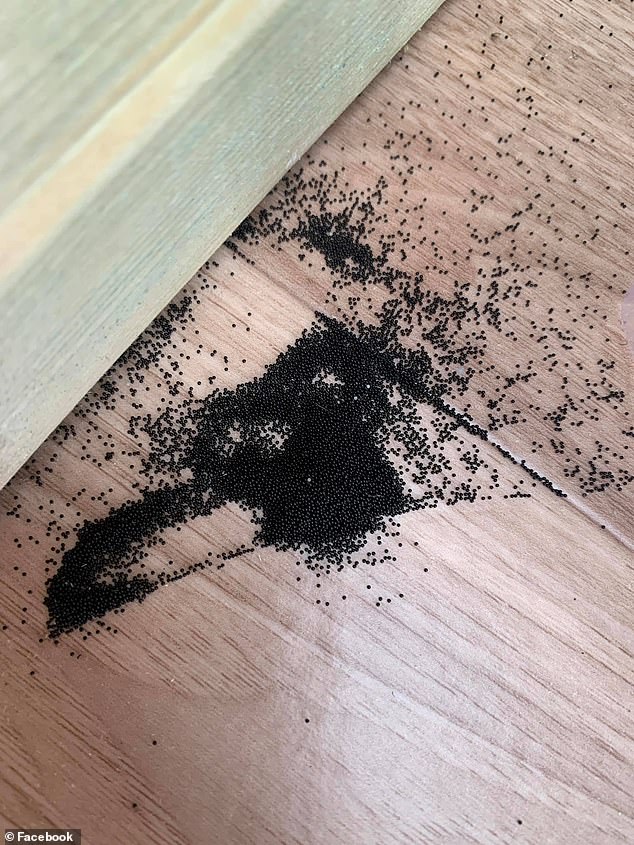 Tu ai mai văzut până acum aceste biluțe mici și negre? O femeie a rămas șocată când le-a descoperit în căsuța de joacă a copiilor săi