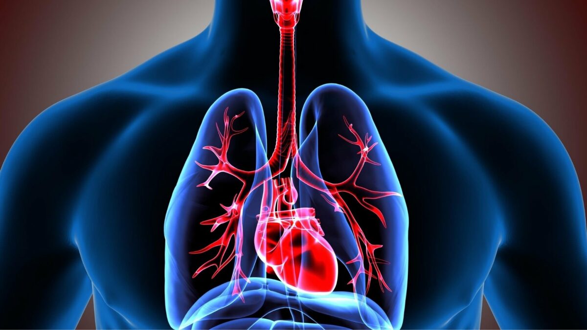 Ingredientul care curăță plămânii. Efectele se simt foarte repede