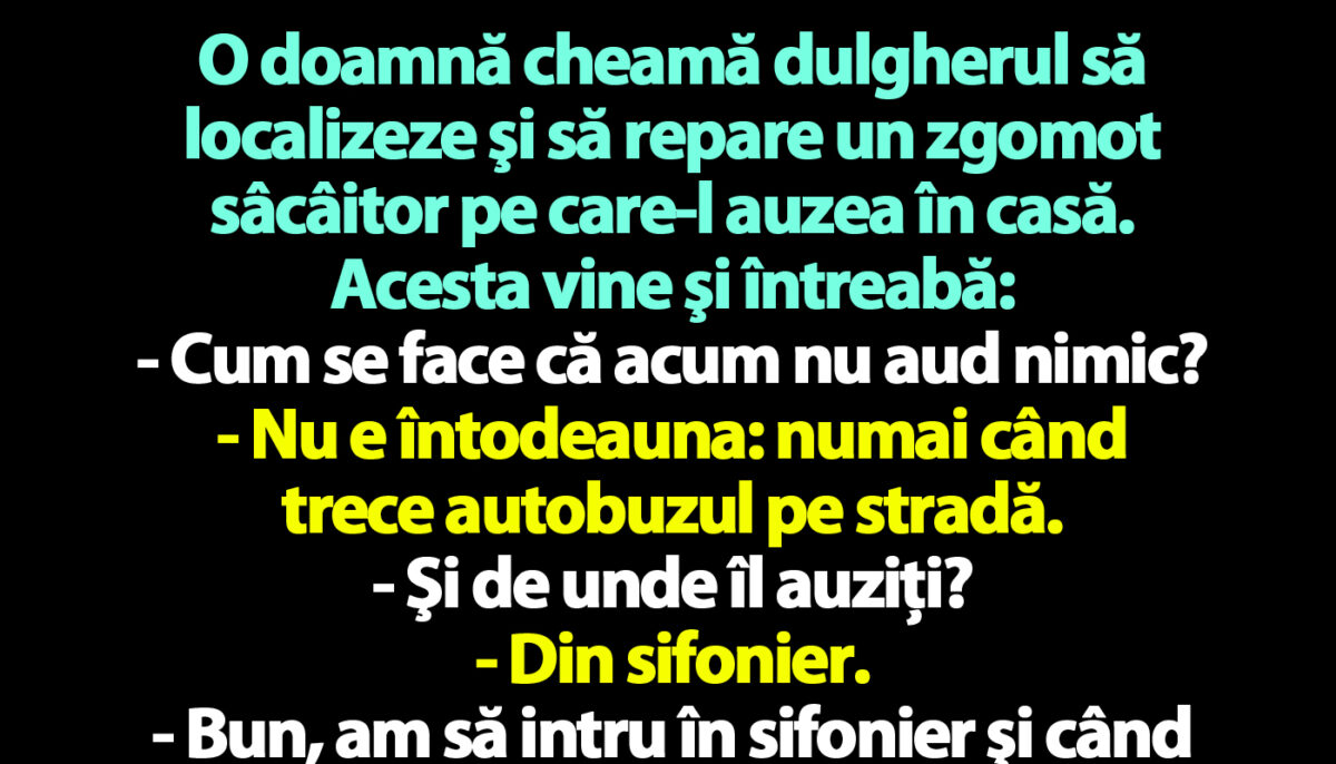 Imagine Stire BANC | O doamnă cheamă dulgherul să localizeze şi să repare un zgomot sâcâitor pe care-l auzea în casă | 2review.ro
