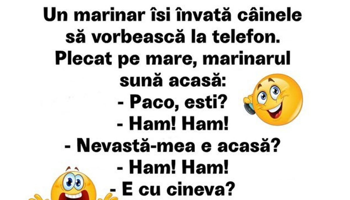 Imagine Stire BANCUL ZILEI | Un marinar își învață câinele să vorbească la telefon | 2review.ro