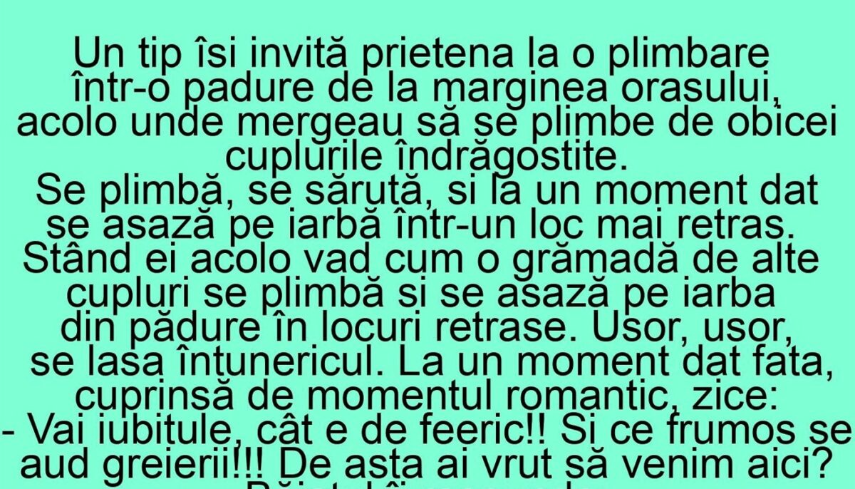 Imagine Stire BANC | Un tip își invită prietena la o plimbare într-o pădure de la marginea orașului | 2review.ro