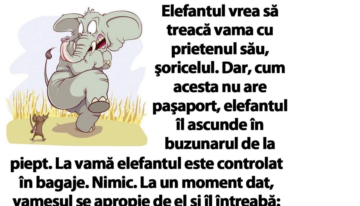 Imagine Stire BANC | Elefantul vrea să treacă vama cu prietenul său, şoricelul | 2review.ro