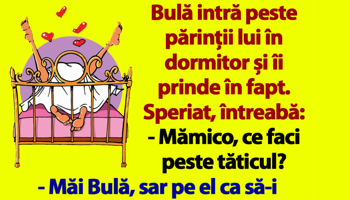 Imagine Stire BANC | Bulă intră peste părinții lui în dormitor: „Mămico, ce faci peste tăticul?” | 2review.ro