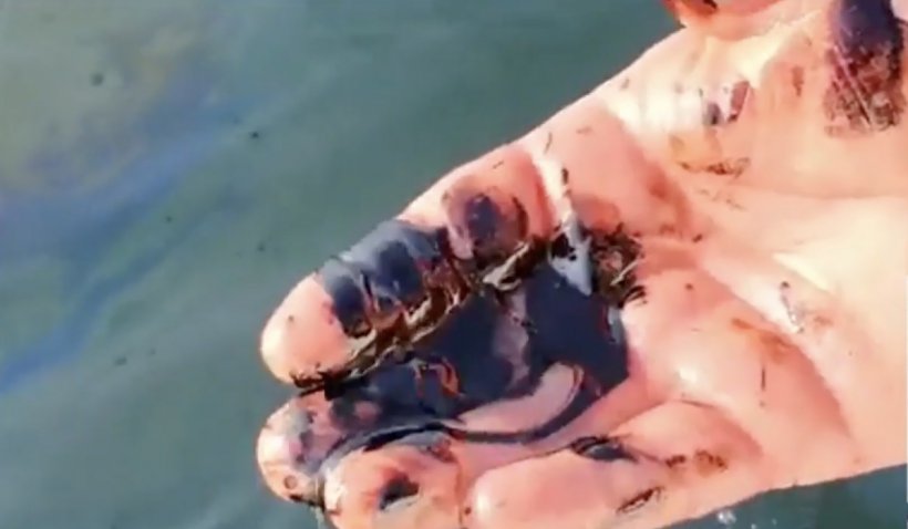 Fenomen neobișnuit în Marea Neagră. De necrezut ce au găsit doi pescari lângă Portul Constanța 