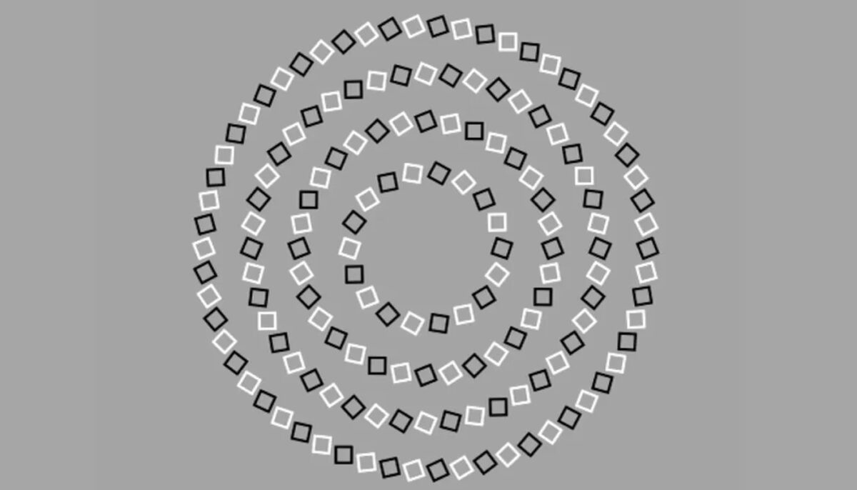 TEST IQ | Câte cercuri sunt, de fapt, în această imagine? E mai simplu decât pare!