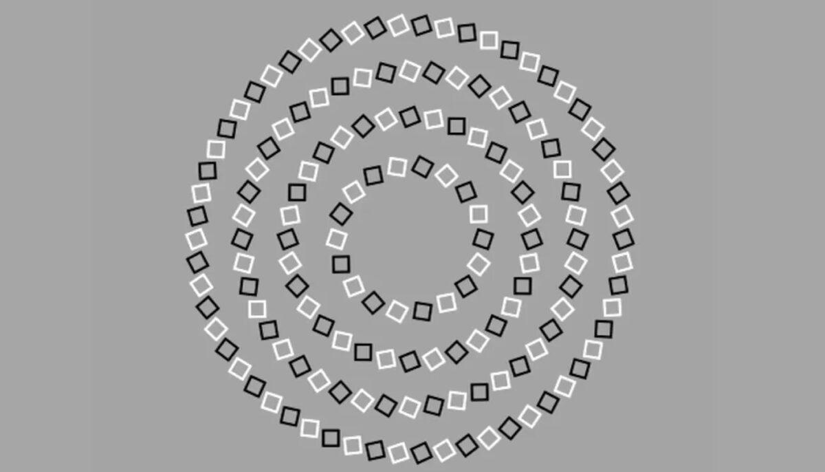TEST IQ | Câte cercuri sunt, de fapt, în această imagine? E mai simplu decât pare!