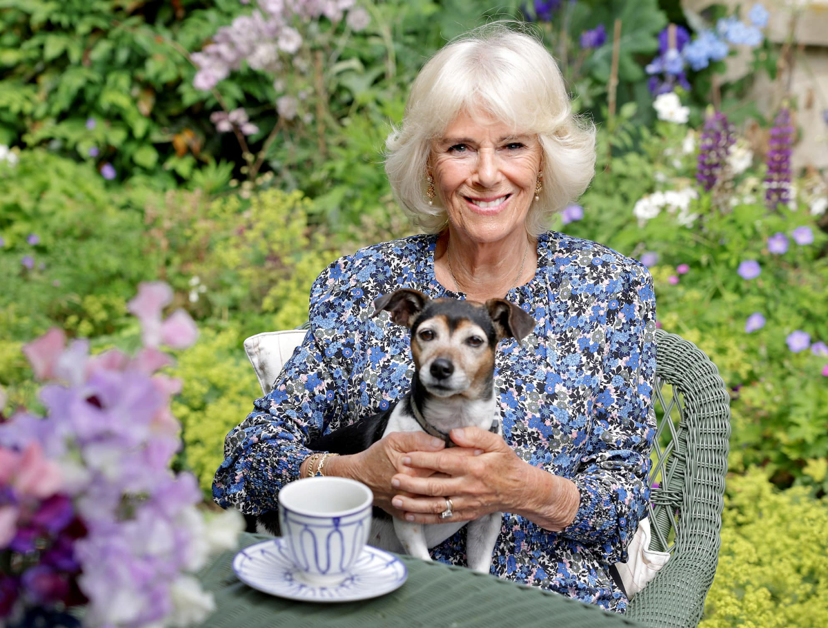 Imagine Stire Camilla Parker Bowles, noua regină consoartă a Marii Britanii. Ce atribuții va avea soția Regelui Charles al III-lea | 2review.ro