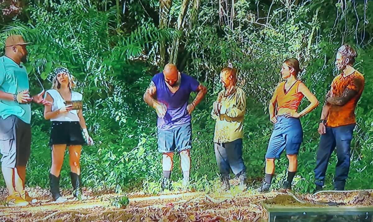 Imagine Stire Cine a câștigat prima probă a concursului „Sunt celebru, scoate-mă de aici!”, de pe Pro TV. Învingătorii au avut parte de surprize dulci | 2review.ro