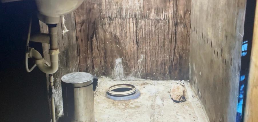 Cum îşi fac nevoile concurenţii din Tabăra Belelor, de la Sunt celebru, scoate-mă de aici? Cabral le-a dat vestea devastatoare la Pro TV