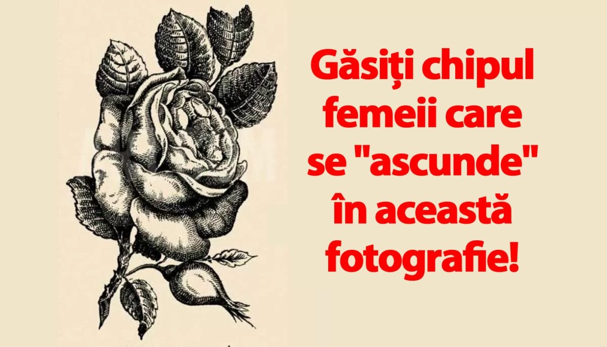 Test IQ din anul 1880 | Găsiți chipul femeii care se „ascunde” în această fotografie din Franța!