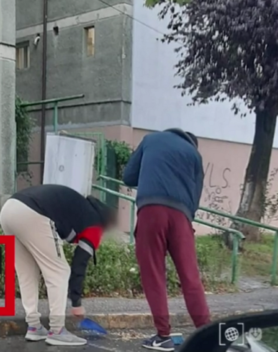 Ireal! Cum au fost puși la punct doi tineri care aruncau coji se semințe pe jos. Au primit amendă, dar și o lecție de bun simț