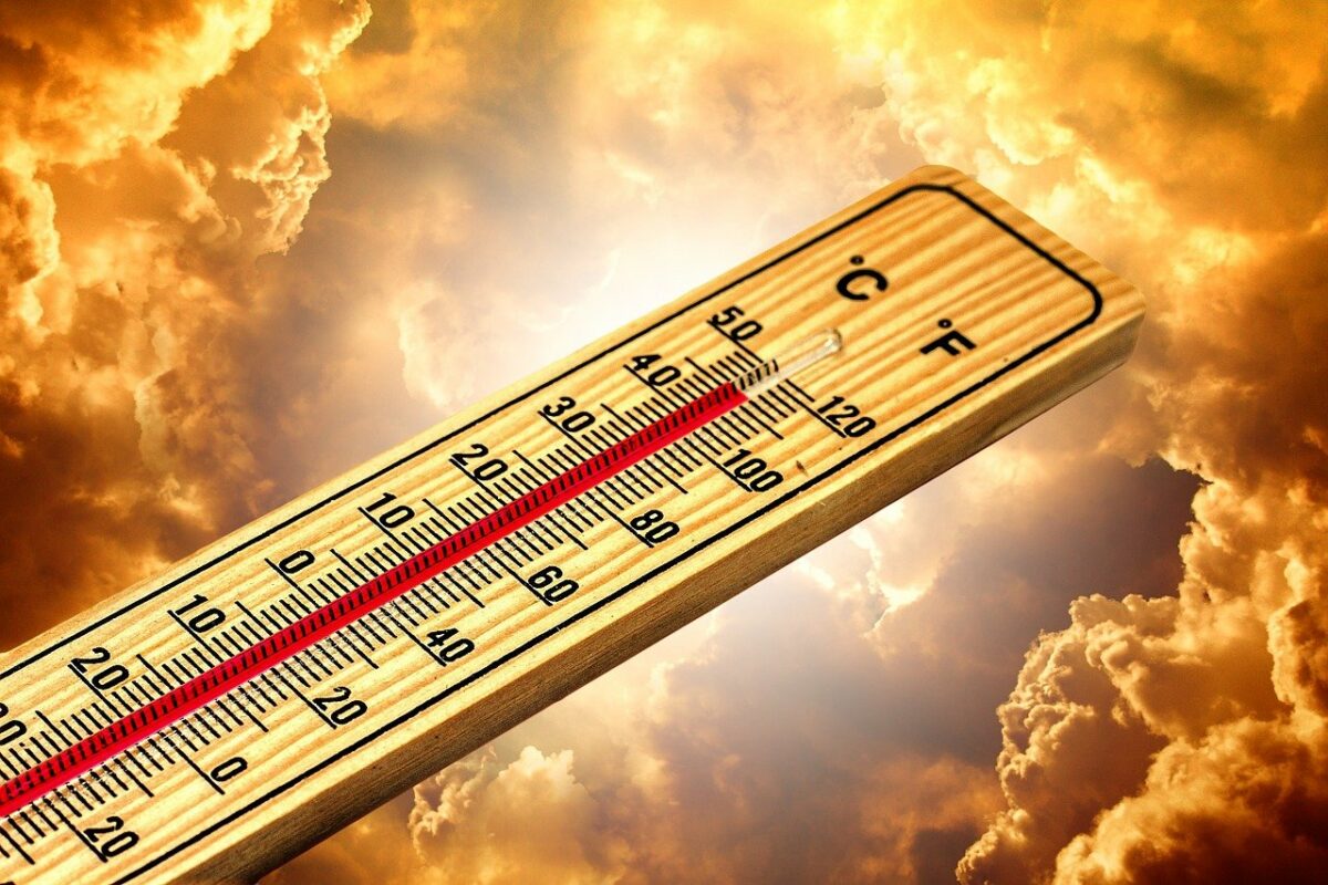 Val de aer cald în România! În ce zone ale țării vor fi temperaturi de primăvară