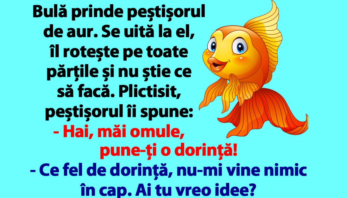 Imagine Stire BANC | Bulă prinde peștișorul de aur: „Hai, măi omule, pune-ți o dorință!” | 2review.ro