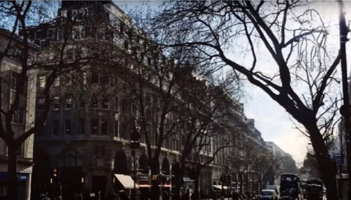 luzie optică virală | Doar 1 din 100 de oameni pot găsi căinele în această imagine