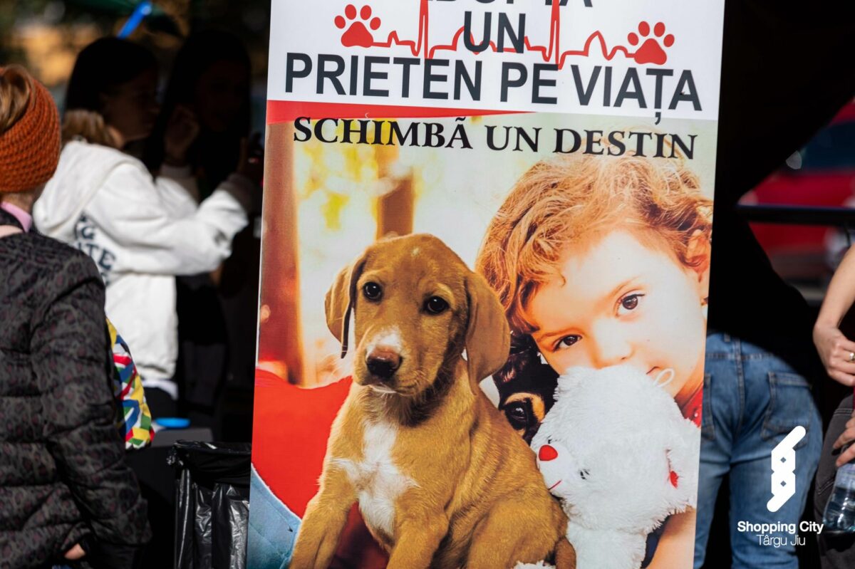 Imagine Stire Ruby, Noaptea Târziu și Niculina Stoican au participat la cel mai mare gest umanitar al anului! Pentru ce au militat artiștii?! | 2review.ro
