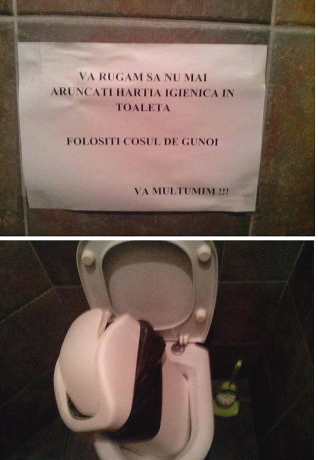 BANCUL ZILEI V Rug m S Nu Mai Arunca i H rtia Igienic n Toalet 