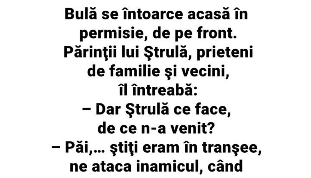 Imagine Stire BANC | Bulă se întoarce acasă, în permisie, de pe front | 2review.ro
