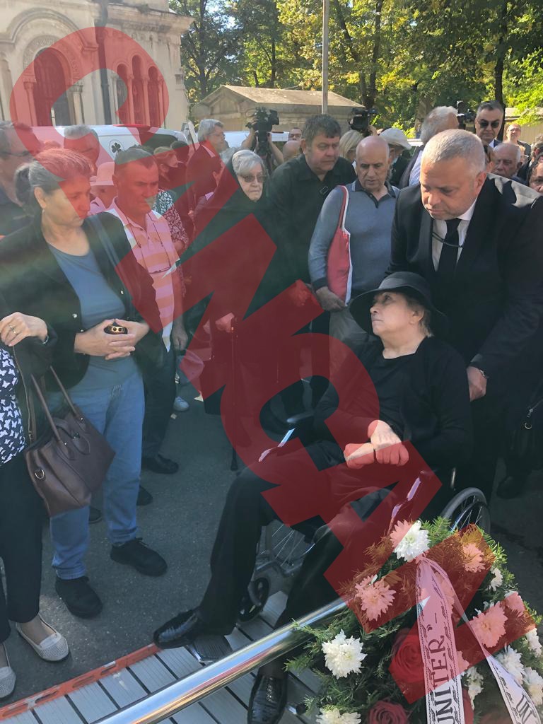 Imagine Stire Imagini copleșitoare! Soția lui Alexandru Arșinel, inertă în scaunul cu rotile, este distrusă de durere! VIDEO | 2review.ro