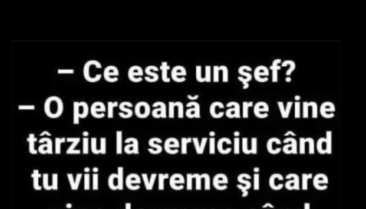 Imagine Stire Bancul sfârșitului de săptămână | Ce este un șef? | 2review.ro
