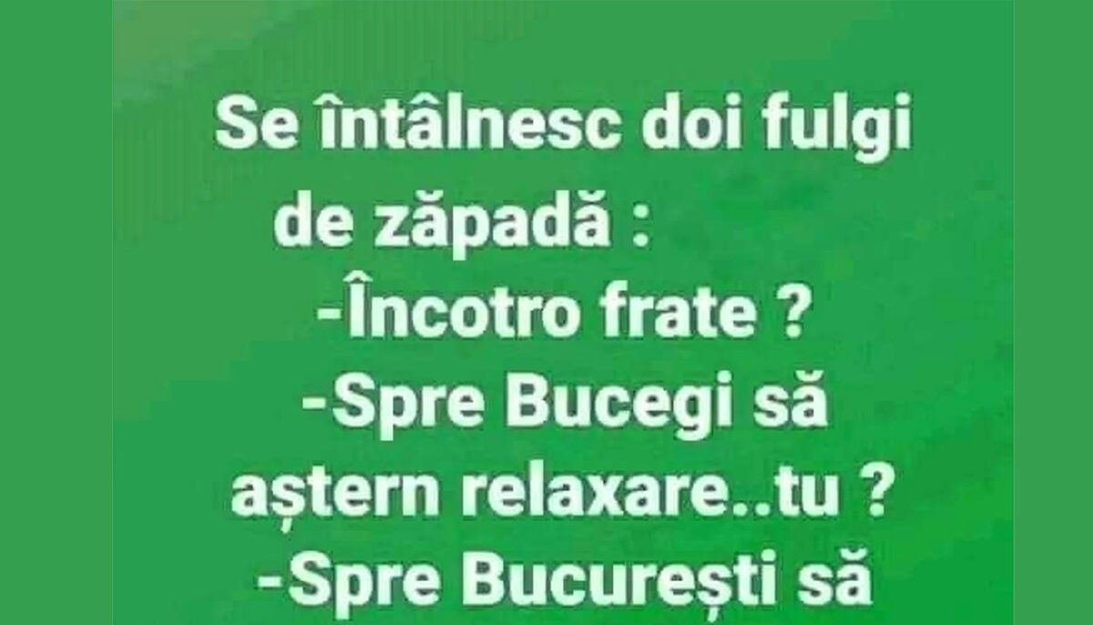 Imagine Stire Bancul de vineri | Se întâlnesc doi fulgi de zăpadă: „Încotro, frate?” | 2review.ro