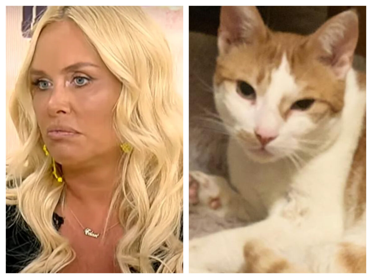 Imagine Stire Vica Blochina, în pragul disperării! Motanul vedetei a dispărut fără urmă: ”Ofer recompensă” | 2review.ro