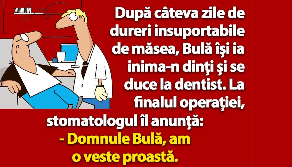 Imagine Stire BANC | Bulă își ia inima-n dinți și se duce la dentist | 2review.ro
