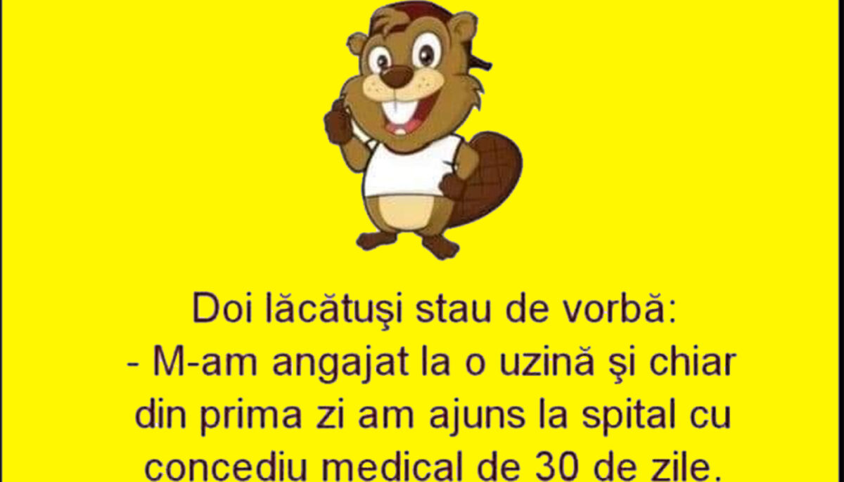 Imagine Stire BANC | „M-am angajat și chiar din prima zi de muncă am ajuns la spital, cu concediu medical de 30 de zile” | 2review.ro