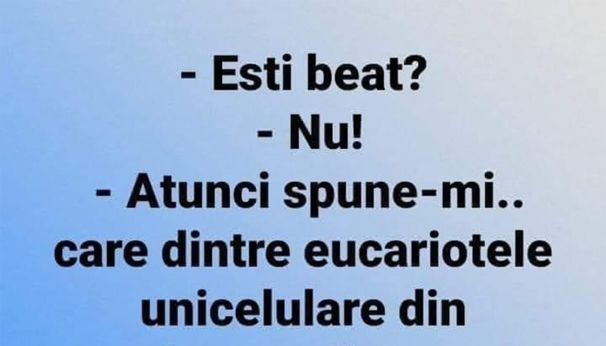 Imagine Stire Bancul începutului de săptămână | „Ești beat?” | 2review.ro