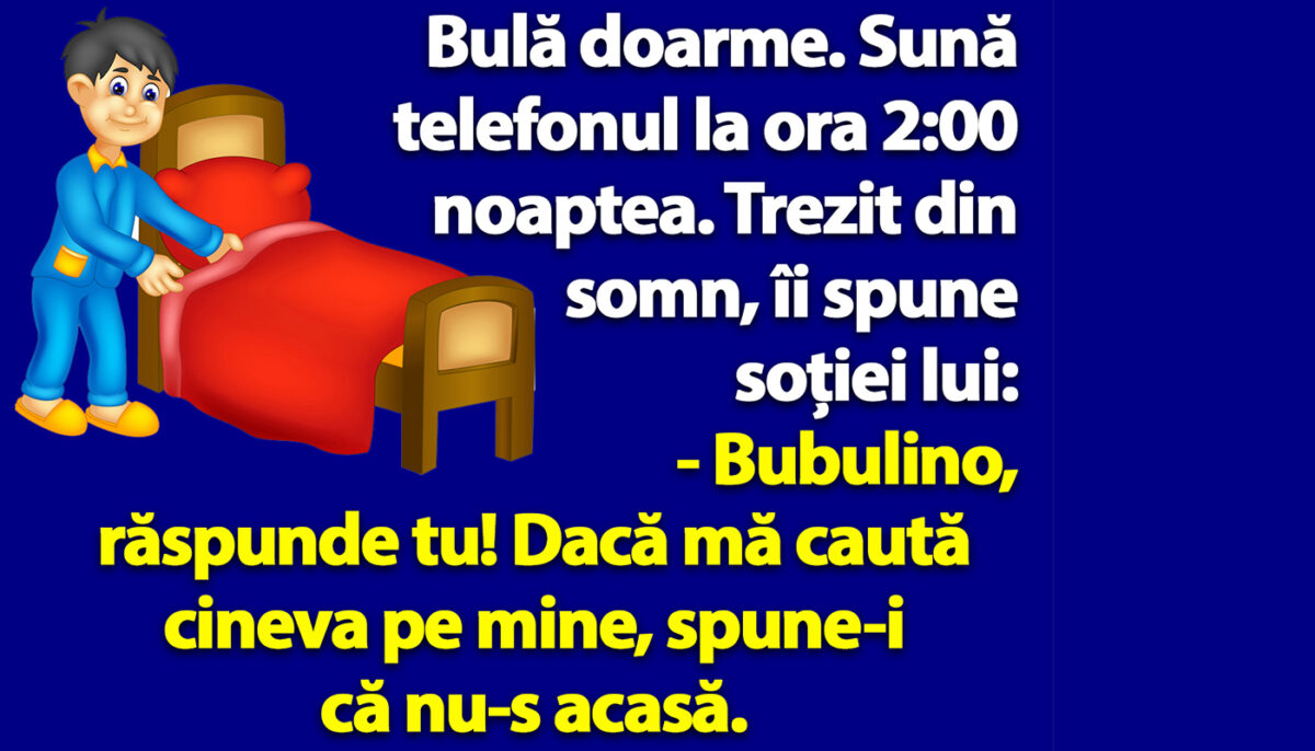 Imagine Stire BANC | Bulă doarme. Sună telefonul la ora 2:00 noaptea | 2review.ro