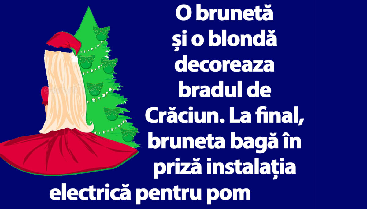 Imagine Stire BANC | O brunetă și o blondă decoreaza bradul de Crăciun | 2review.ro