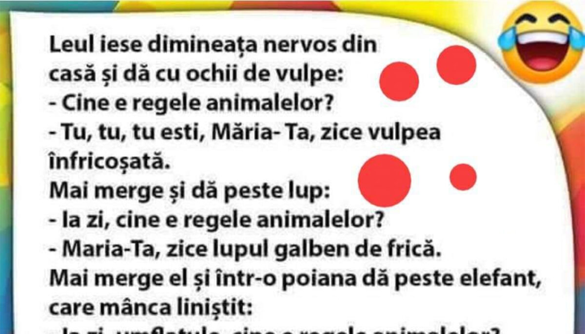 Imagine Stire BANCUL ZILEI | Leul iese dimineața, nervos: „Cine e regele animalelor?” | 2review.ro