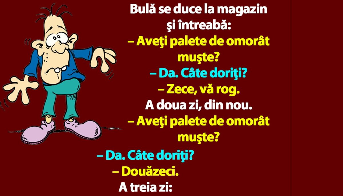 Imagine Stire BANC | Bulă se duce la magazin şi întreabă: „Aveţi palete de omorât muşte?” | 2review.ro