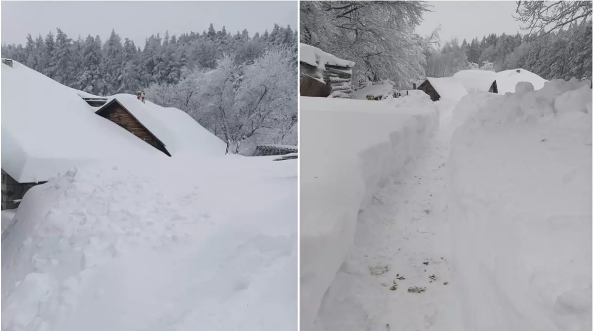Strat de zăpadă de doi metri în Buzău! Casele din Bisoca au fost acoperite aproape în întregime de ninsoare  