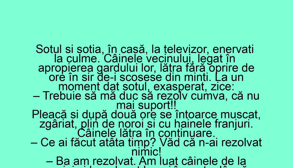 Imagine Stire BANC | Soțul și nevasta stau în casă, la televizor, enervați la culme de câinele vecinilor | 2review.ro