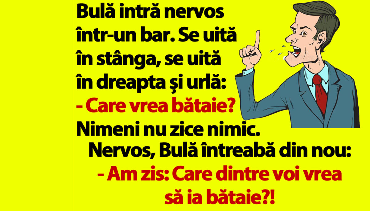 Imagine Stire BANC | Bulă intră nervos într-un bar: „Care vrea bătaie?!” | 2review.ro