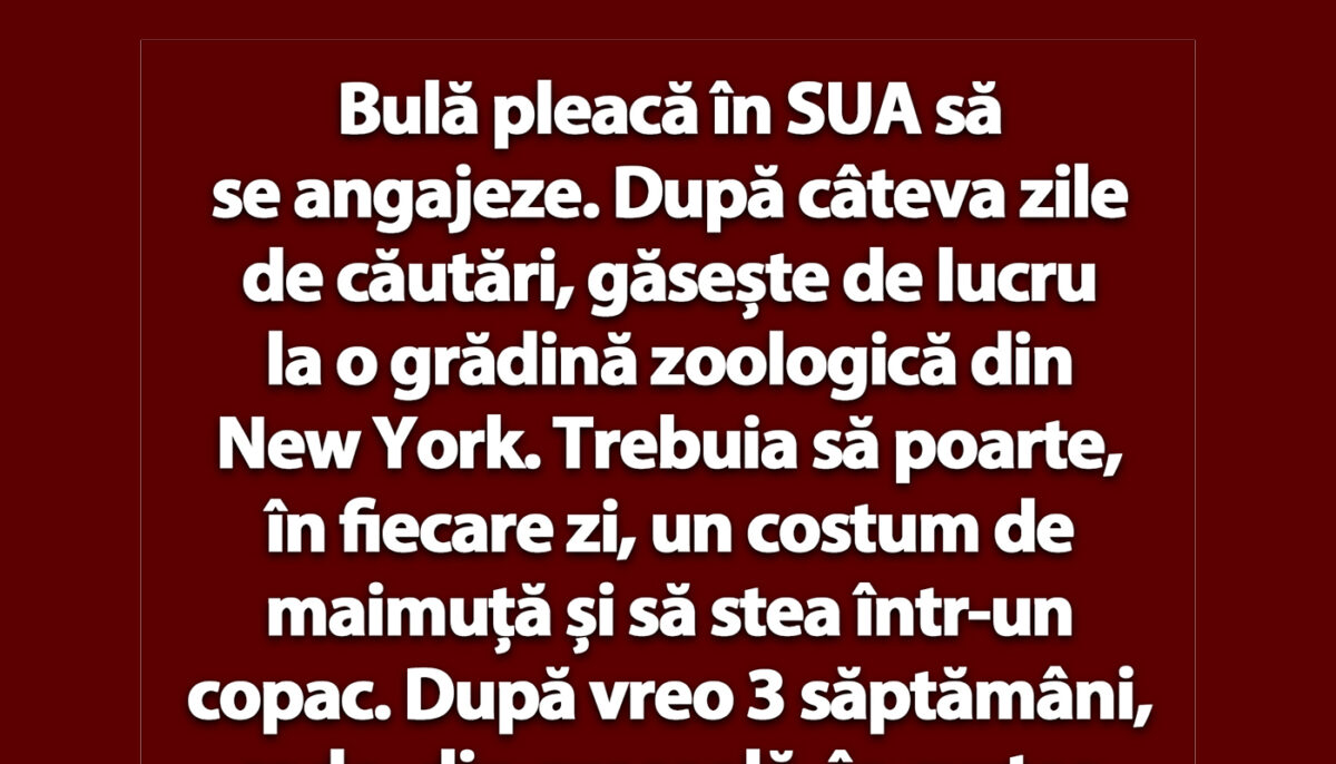 Imagine Stire BANC | Bulă pleacă în SUA să se angajeze | 2review.ro