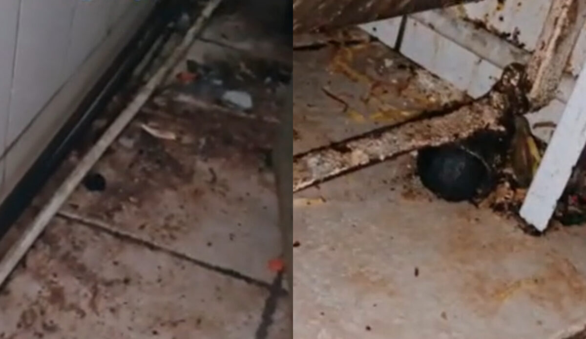 Imaginile grozei! Ce au găsit inspectorii ANPC într-un restaurant chinezesc din București