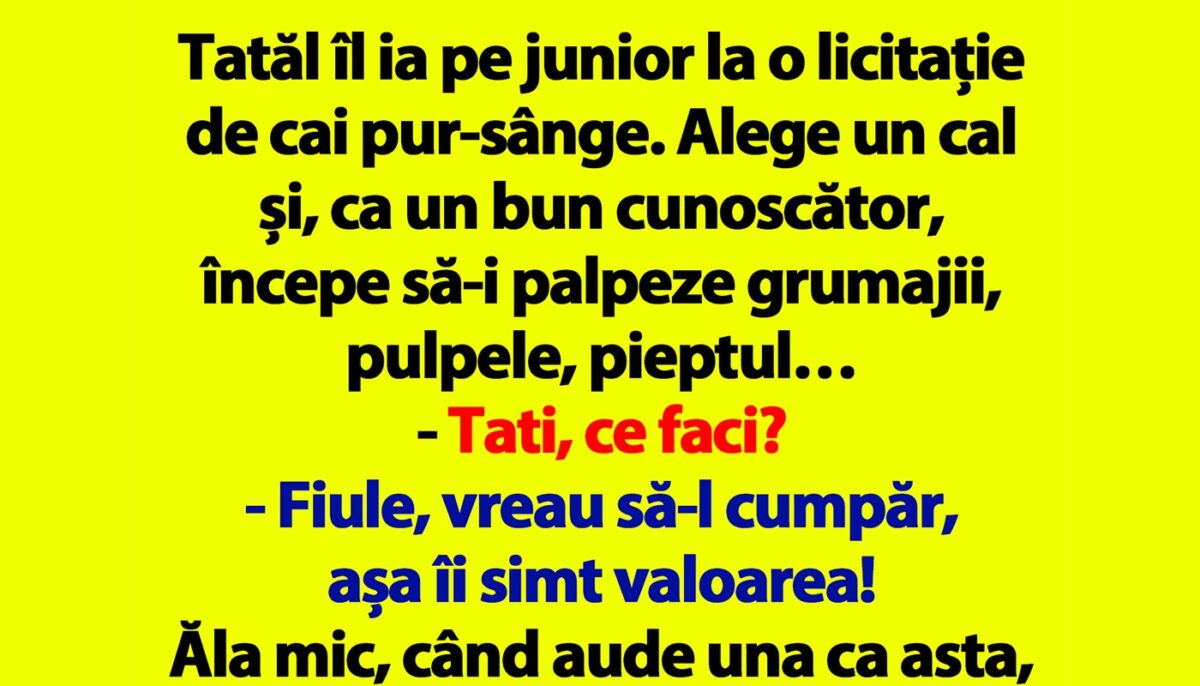 Imagine Stire BANCUL ZILEI | Tatăl îl ia pe junior la o licitație de cai pur-sânge | 2review.ro