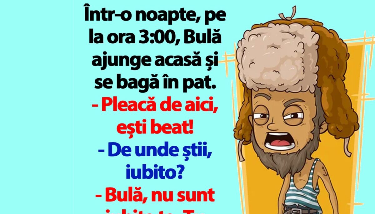Imagine Stire BANC | Bulă ajunge acasă și se bagă în pat. „Ești beat!” | 2review.ro