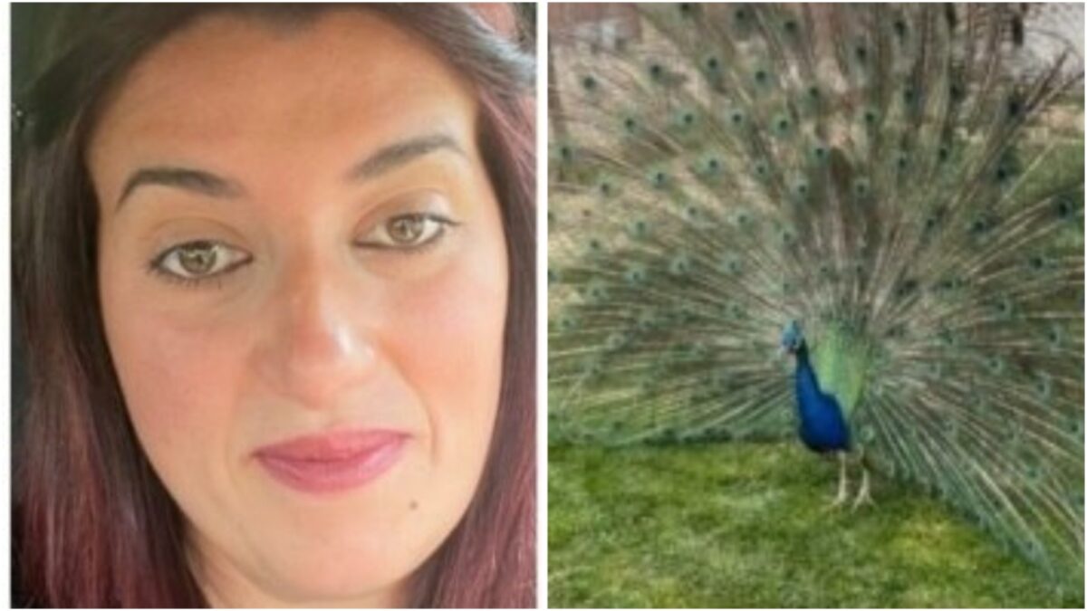 Ideea de afacere cu care a dat lovitura o tânără româncă de 36 de ani: „Statul nu m-a ajutat cu nimic până acum”