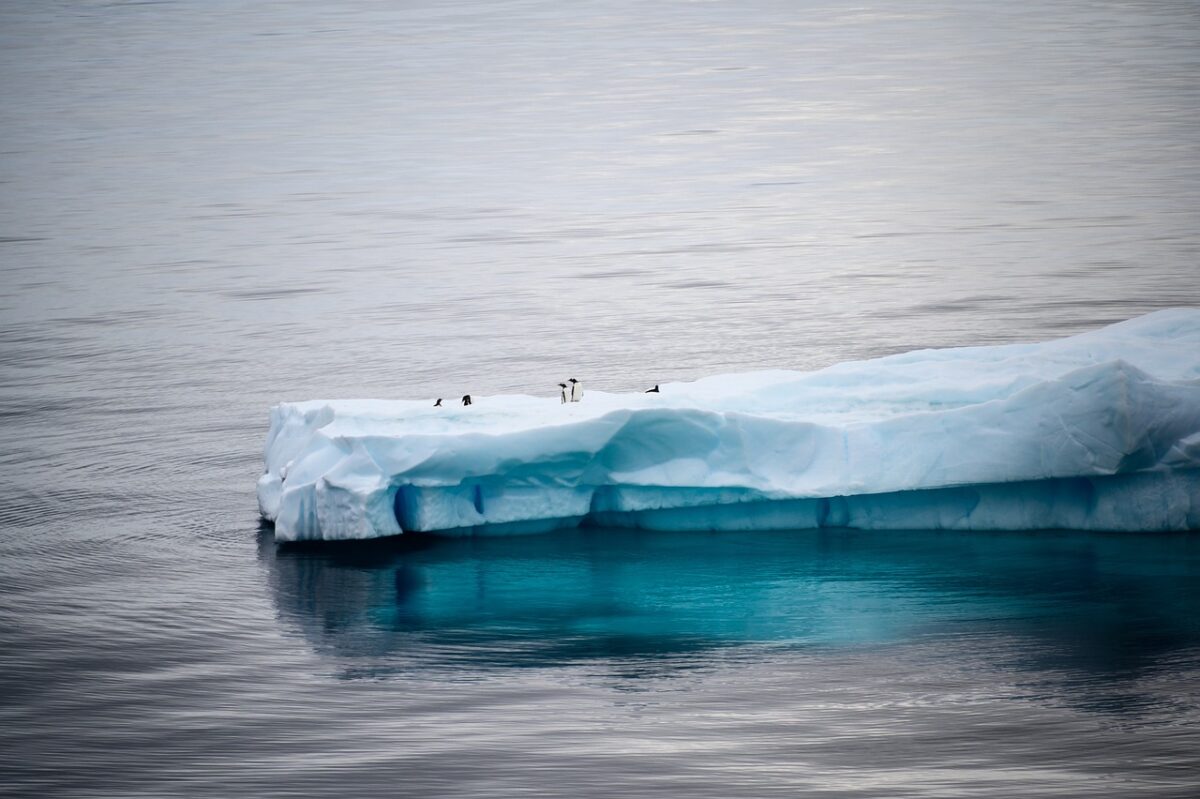 Oamenii de știință trag un semnal de alarmă! Fenomenul bizar din Antarctica a luat prin surprindere cercetătorii